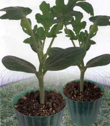 Blog post featured image